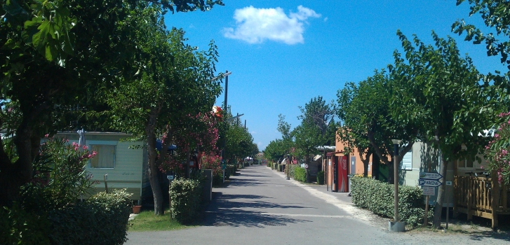 08.jpg