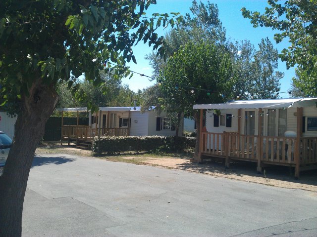 Placette B