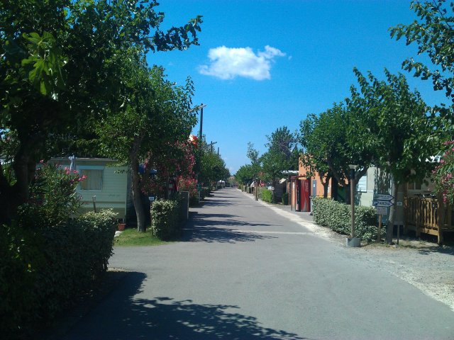 Allée principale